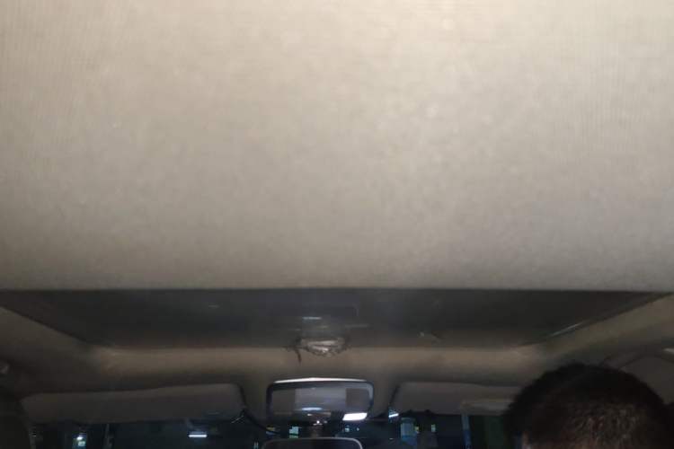 Used Zotye T600 Coupe 2017 1.5T Automatic Luxury Model Headliner