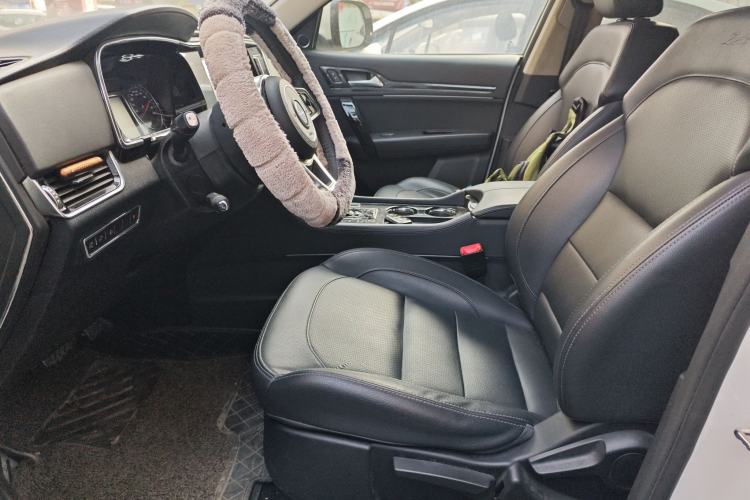 Used Zotye T600 Coupe 2017 1.5T Automatic Luxury Model Left Front Seat