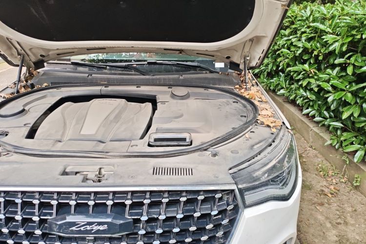 Used Zotye T700 2017 1.8T Dual-Clutch Prestige Model Engine Bay Left