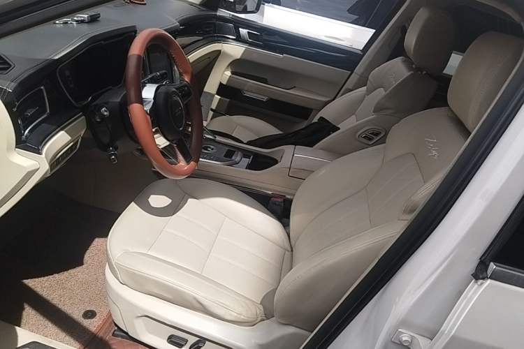 Used Zotye T700 2017 1.8T Dual-Clutch Prestige Model Left Front Seat