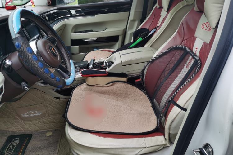 Used Zotye T700 2017 1.8T Dual-Clutch Prestige Model Left Front Seat
