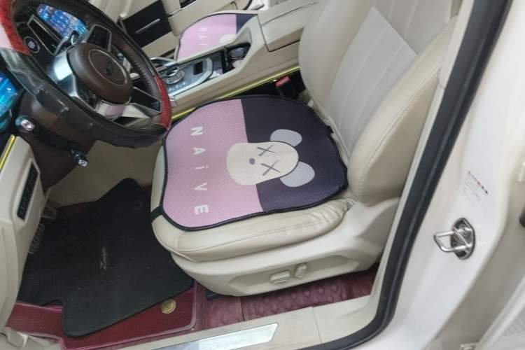 Used Zotye T700 2017 1.8T Dual-Clutch Prestige Model Left Front Seat