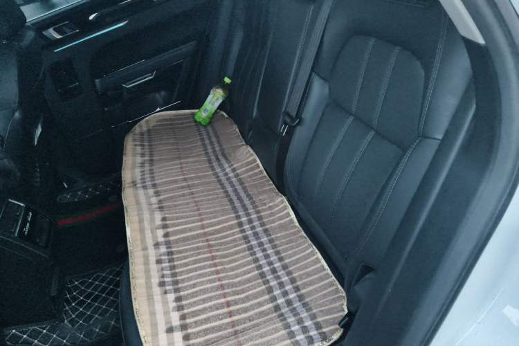 Used Zotye T700 2017 1.8T Dual-Clutch Luxury Model Left Rear Seat