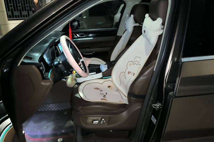 Used Zotye T800 2018 2.0T Automatic Prestige Smart Connectivity 7-Seater Left Front Seat