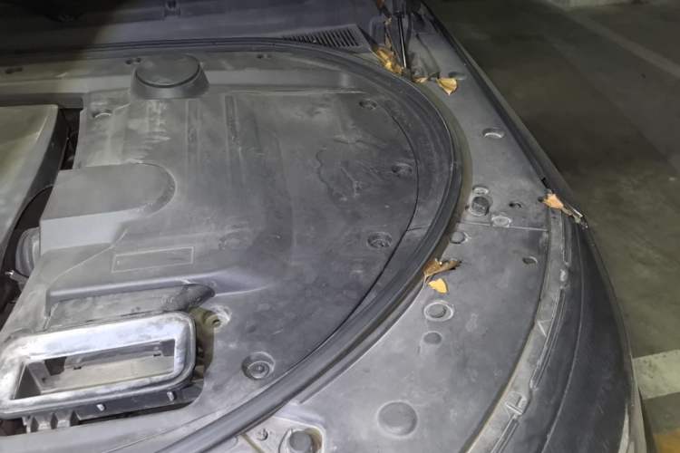 Used Zotye T800 2018 2.0T Automatic Prestige Smart Connectivity 7-Seater Engine Bay Left