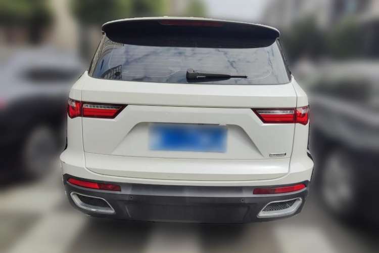 Used Zotye T800 2018 2.0T Automatic Luxury Connected 7-Seater Rear