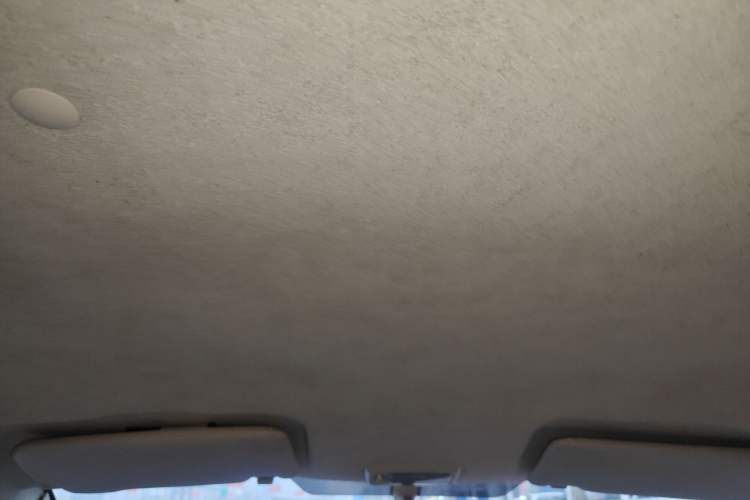 Used Zotye Z100 2013 1.0L Comfort Model Headliner