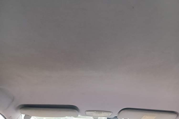 Used Zotye Z300 2014 1.6L Drive-Value Edition Automatic Elite Model Headliner