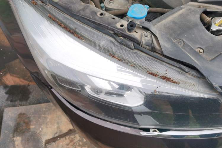 Used Zotye Z300 2016 1.5L Manual Elite Version Right Front Headlight