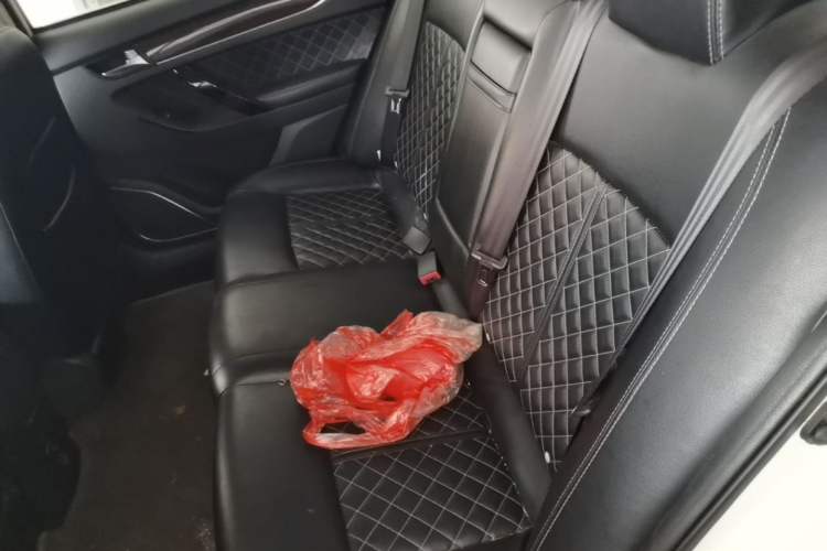 Used Zotye Z500 2015 1.5T CVT Luxury Model Left Rear Seat