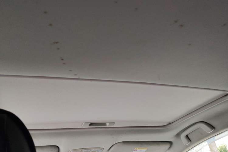 Used Zotye Z560 2017 1.5T CVT Luxury Model Headliner