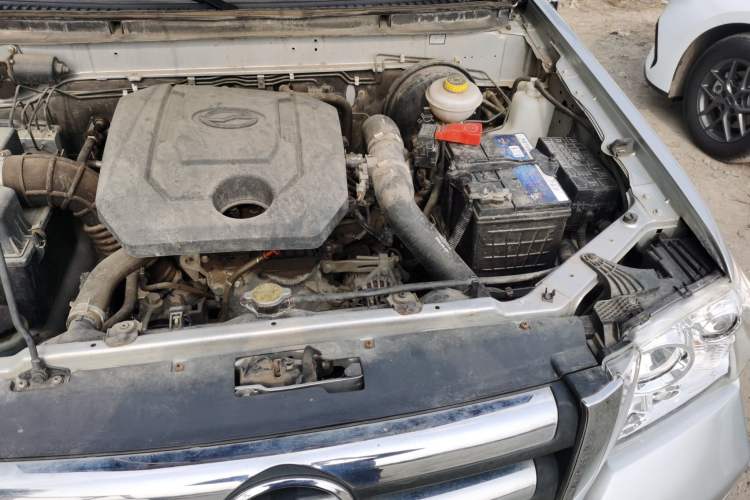 Used Zxauto Grandtiger 2020 1.5T Off-Road Edition Gasoline China VI Standard Two-Wheel-Drive Big Double Cab Engine Bay Left