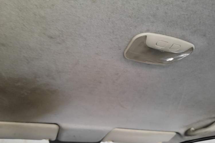Used Zxauto Grandtiger  Headliner