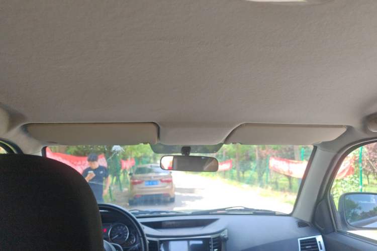 Used Zxauto Grandtiger  Headliner