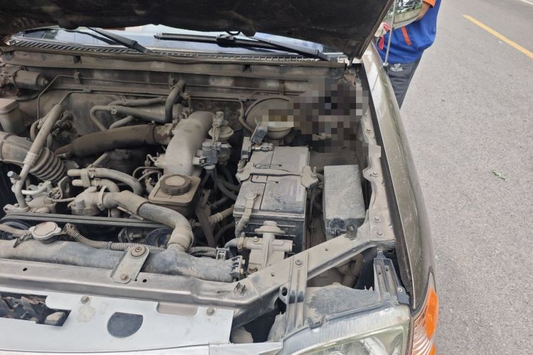 Used Zxauto Grandtiger G3  Engine Bay Left