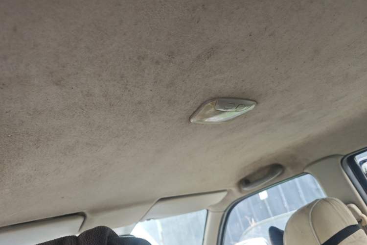 Used Zxauto Grandtiger G3  Headliner