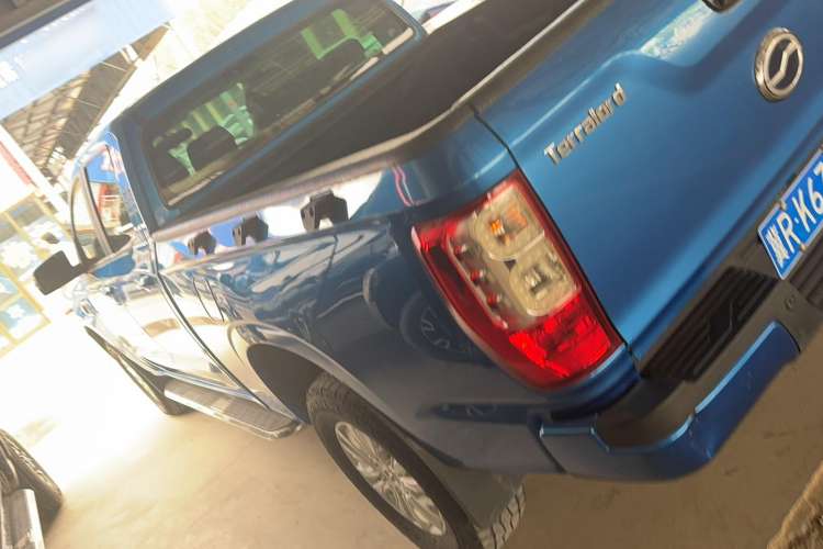 Used Zxauto Terralord 2018 2.5T Two-Wheel Drive Luxury Version Big Double Exterior 5