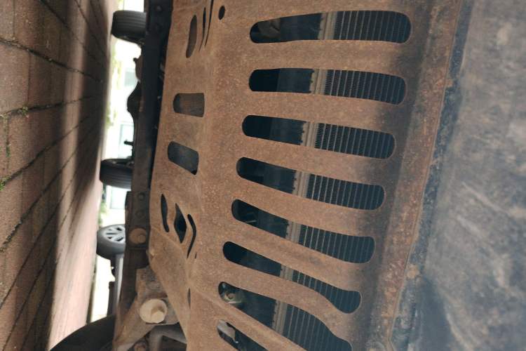 Used Zxauto Terralord 2019 2.5T Commercial Diesel 2WD Manual Standard Version Big Double Chassis Front