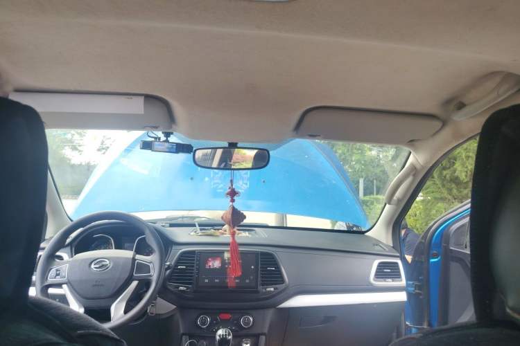Used Zxauto Terralord  Headliner