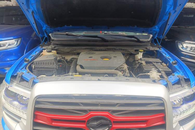 Used Zxauto Terralord 2021 2.5T Passenger Diesel Two-Wheel-Drive Luxury Big Double Engine Bay